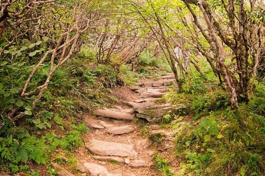 Tour image 11