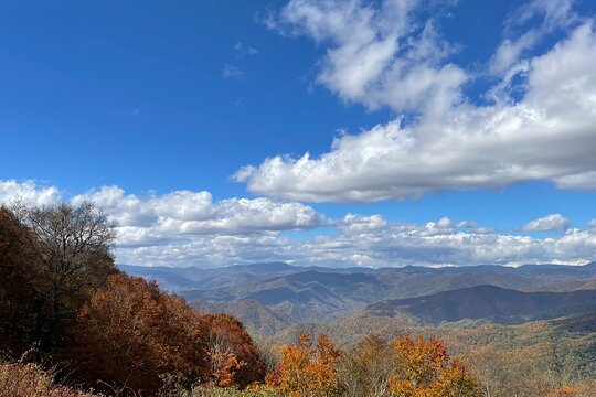 Tour image 11