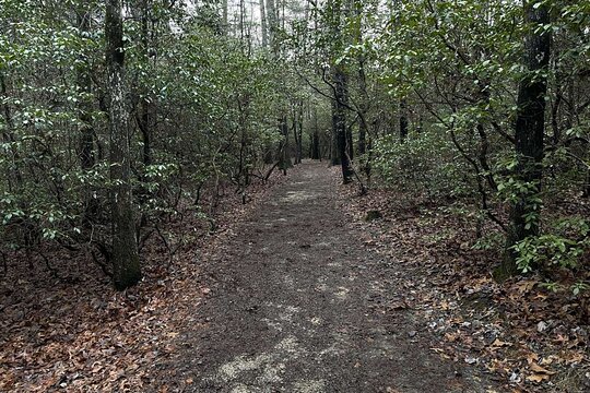 Tour image 11